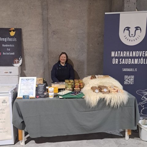 Jólakötturinn 2023-3. Ljósmynd: Þór Þorfinnsson