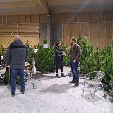 Jólakötturinn 2023-9. Ljósmynd: Þór Þorfinnsson