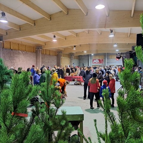 Jólakötturinn 2023-11. Ljósmynd: Þór Þorfinnsson