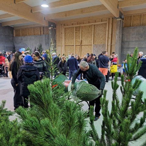 Jólakötturinn 2023-12. Ljósmynd: Þór Þorfinnsson