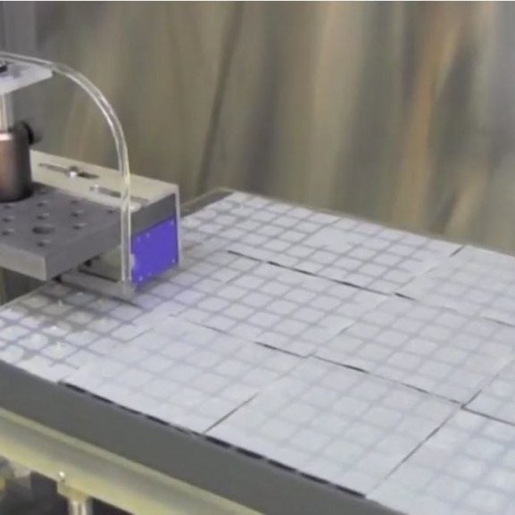 With the recent invention of an automated SE fluidics system' for multiplication, maturation, harvest, germination and planting, large scale production of conifer SE plants can be realized.