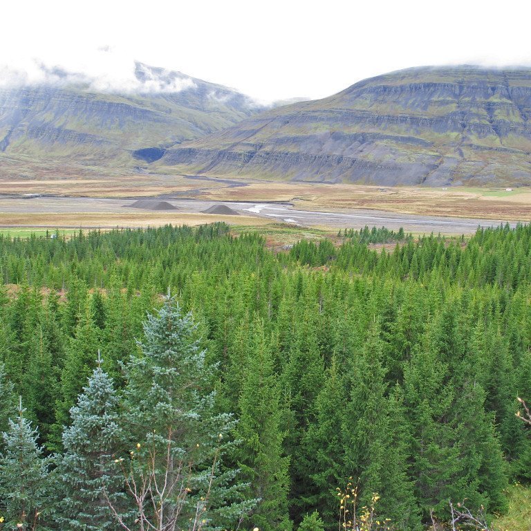 (mynd: Þór Þorfinnsson)