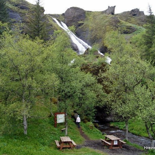 Skógurinn á Kirkjubæjarklaustri, Systrafoss í baksýn. Mynd: Hreinn Óskarsson