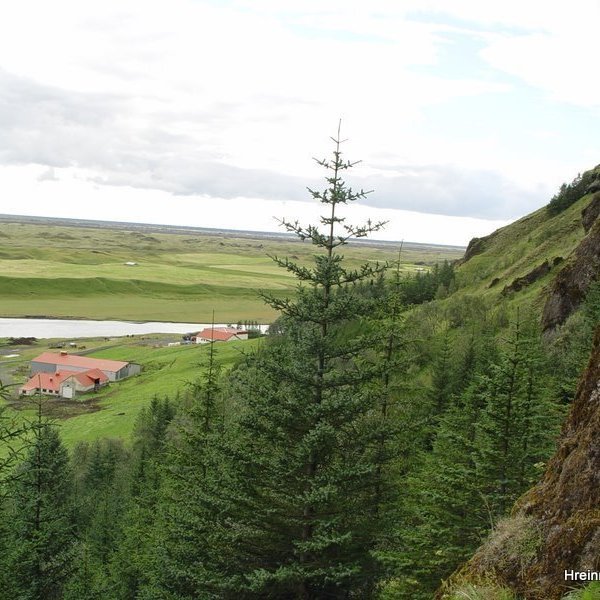 (mynd: Hreinn Óskarsson)