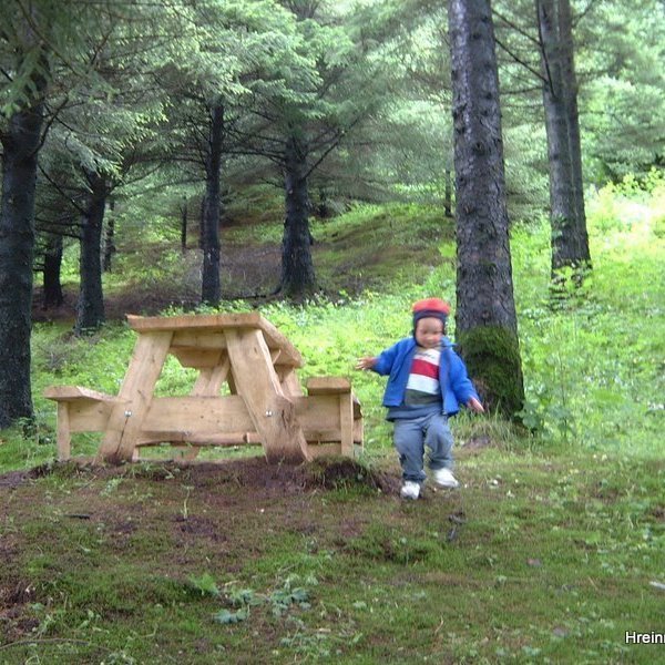 (mynd: Hreinn Óskarsson)