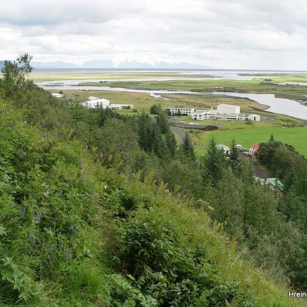 (mynd: Hreinn Óskarsson)