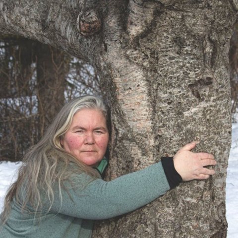 Begga og birkitré í Mörkinni Hallormsstað