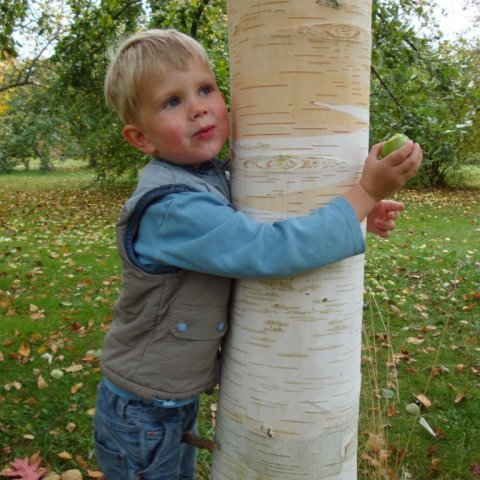 Eskil knúsar norska hengibjörk
