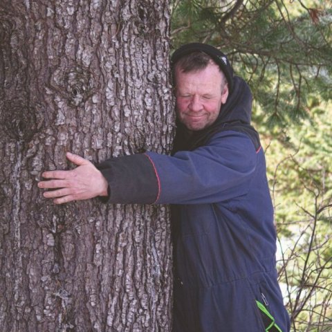 Eiríkur og lindifura í Mörkinni Hallormsstað