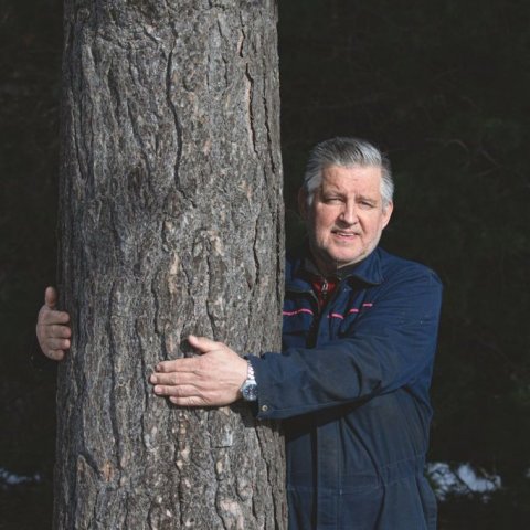 Jón Þór og Skógarfura í Mörkinni Hallormsstað