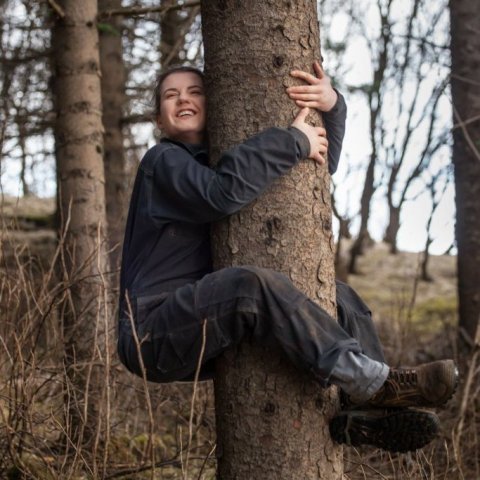 Lucile og sitkagrenið á Tumastöðum