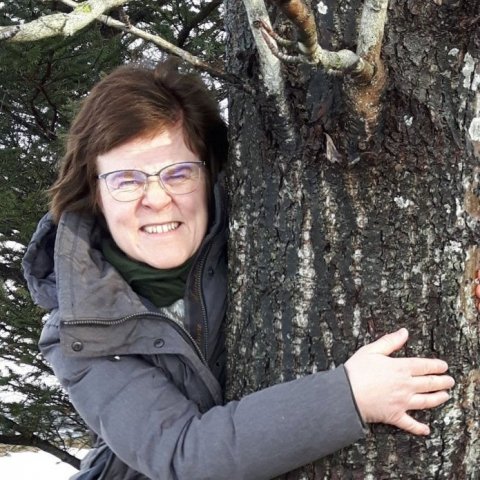 Valgerður Erlings og sunnlensk ösp