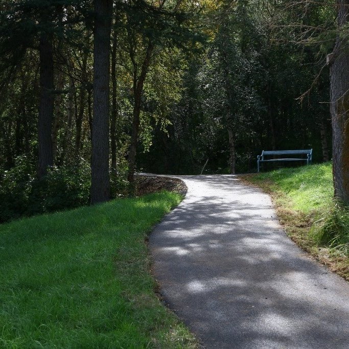 Stígurinn liggur gegnum þroskaðan skóg með ýmsum trjátegundum.. Ljósmynd: Pétur Halldórsson