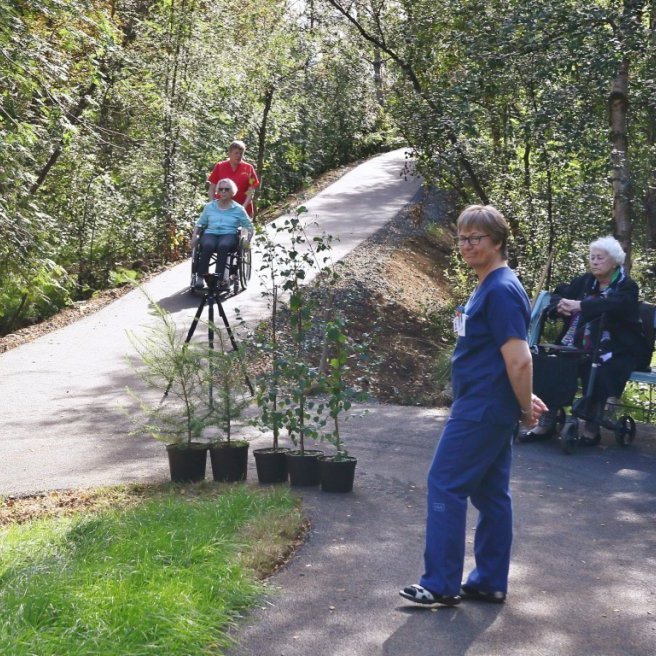 Hæfilegur halli er á malbikaða stígnum í Kristnesskógi svo þar er vel fært fólki í hjólastólum og seinfærum gangandi. Ljósmynd: Pétur Halldórsson