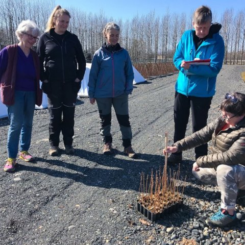 Fylgst með mælingum Valgerðar og Hraundísar. Ljósmynd: Sigríður Júlía Brynleifsdóttir