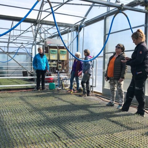 Í gróðurhúsi Kvistabæjar. Frá vinstri: Valgerður Jónsdóttir, verkefnastjóri fjölgunarefnis hjá Skógræktinni, María E. Yngvadóttir, stjórnarformaður Kvistabæjar, Hólmfríður Geirsdóttir Kvistum, Hraundís Guðmundsdóttir skógræktarráðgjafi og Aldís Björk Sigu