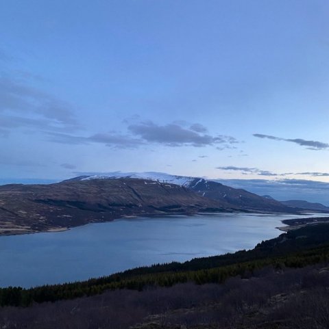 Land Life Stálpastaðir 5. Ljósmynd: Gísli Logi Logason og Guðný Ólafsdóttir