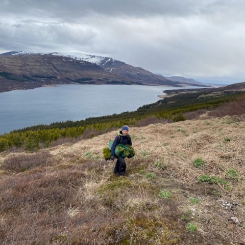 Land Life Stálpastaðir 7. Ljósmynd: Gísli Logi Logason og Guðný Ólafsdóttir