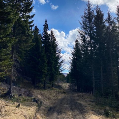 Land Life Stálpastaðir 8. Ljósmynd: Gísli Logi Logason og Guðný Ólafsdóttir