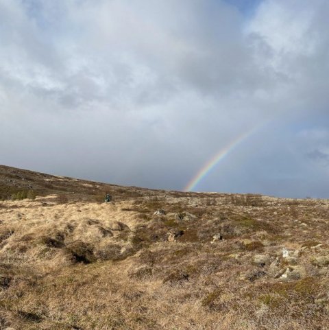 Land Life Stálpastaðir 9. Ljósmynd: Gísli Logi Logason og Guðný Ólafsdóttir