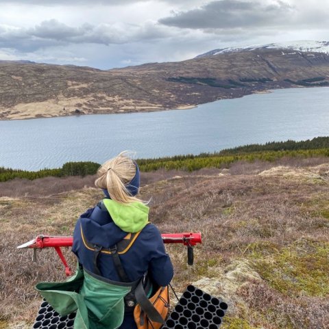 Land Life Stálpastaðir 12. Ljósmynd: Gísli Logi Logason og Guðný Ólafsdóttir