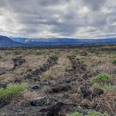 Land Life Þjórsárdalur 2. Ljósmynd: Jóhannes H. Sigurðsson
