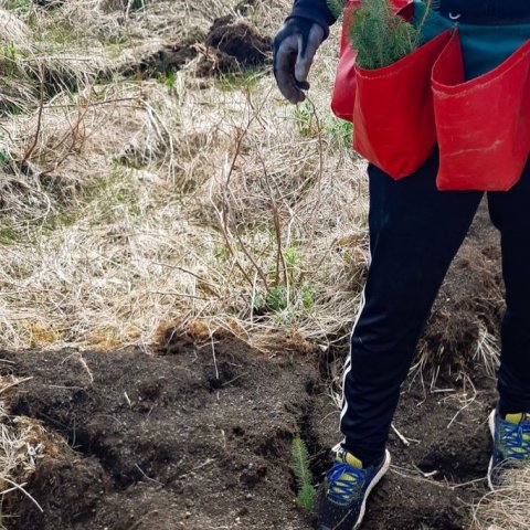Land Life Þjórsárdalur 3. Ljósmynd: Jóhannes H. Sigurðsson