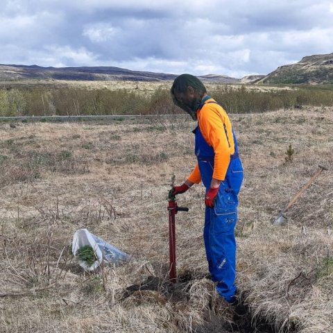 Land Life Þjórsárdalur 5. Ljósmynd: Jóhannes H. Sigurðsson
