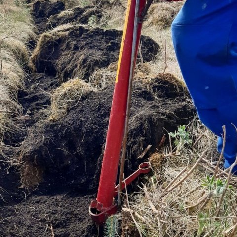 Land Life Þjórsárdalur 6. Ljósmynd: Jóhannes H. Sigurðsson