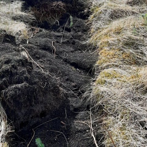 Land Life Þjórsárdalur 7. Ljósmynd: Jóhannes H. Sigurðsson