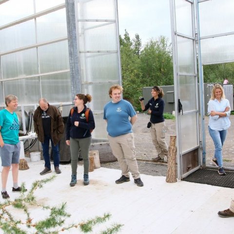 Fulltrúar Land Life Company líta inn í Fræhúsið á Vöglum í Fnjóskadal þar sem fer fram fræframleiðsla á lerkiblendingnum Hrym og ýmsar tilraunir sem snerta plöntugæði, fjölgun trjáplantna og plöntukynbætur. Arriving at the indoor seed orchard in Vaglir No