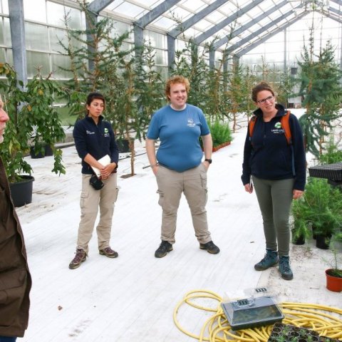 Rakel Jónsdóttir segir frá plönturannsóknum sínum og tilraunum með stiklingarækt lerkis. Researcher Rakel Jónsdóttir explains her plant research work and experiments with the rooting of branch cuttings from larch. Ljósmynd/photo: Pétur Halldórsson
