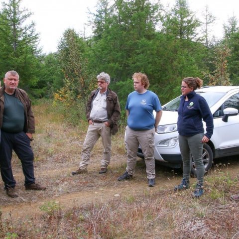 Dæmi um endurreisn skóglendis. (Good example of restored forestland.) Ljósmynd/photo: Pétur Halldórsson