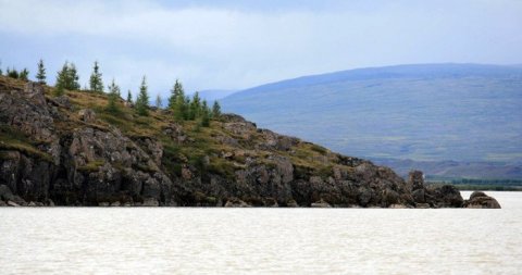 Larix-2012-photos-1-b