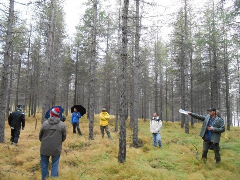 Larix2012-(4) Larix2012-(4)