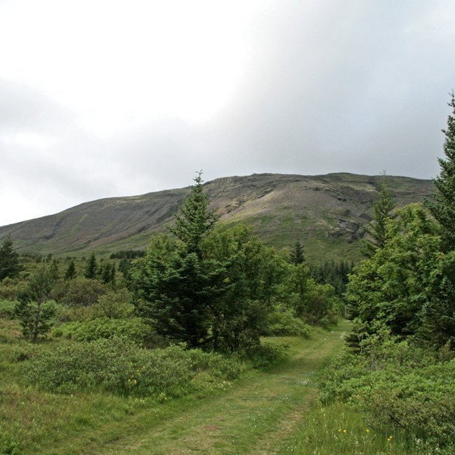 mynd: Esther Ösp Gunnarsdóttir