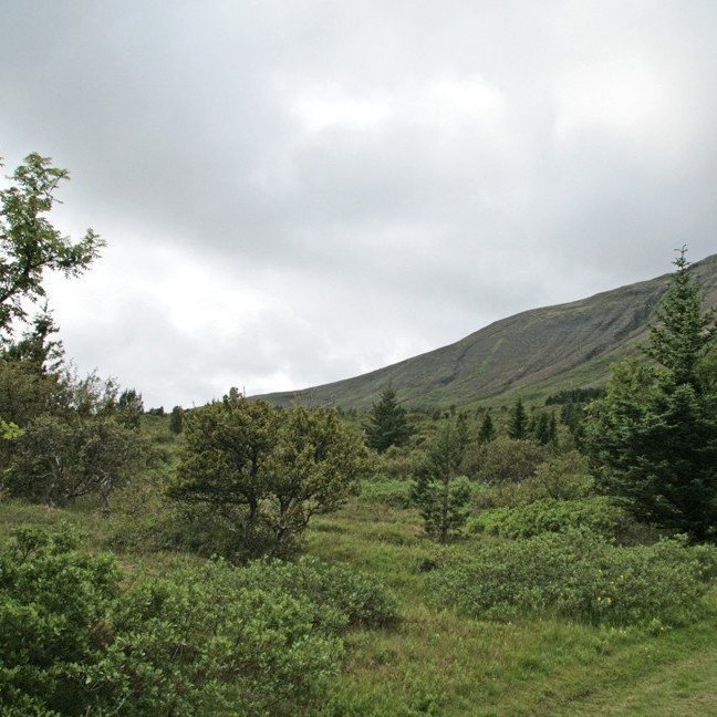 mynd: Esther Ösp Gunnarsdóttir