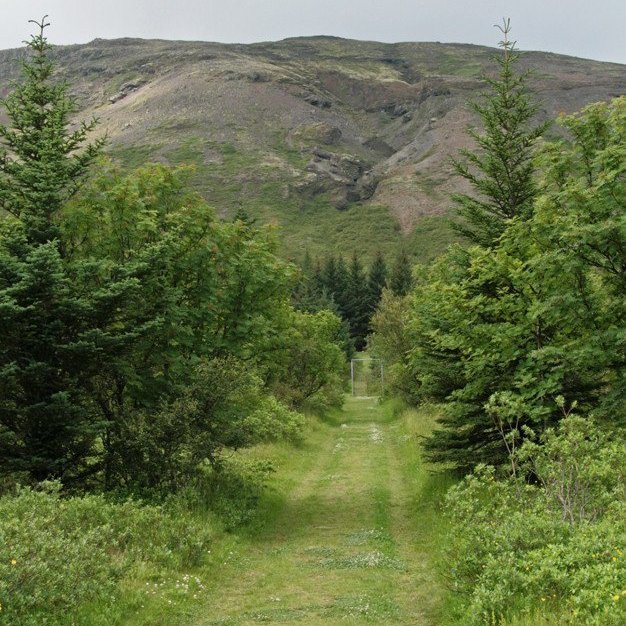 mynd: Esther Ösp Gunnarsdóttir