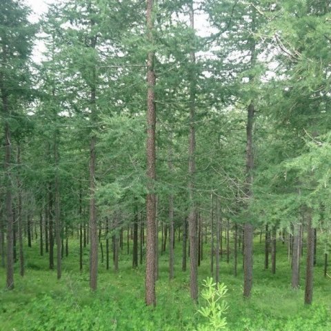 lerki_benni-(1024x682)