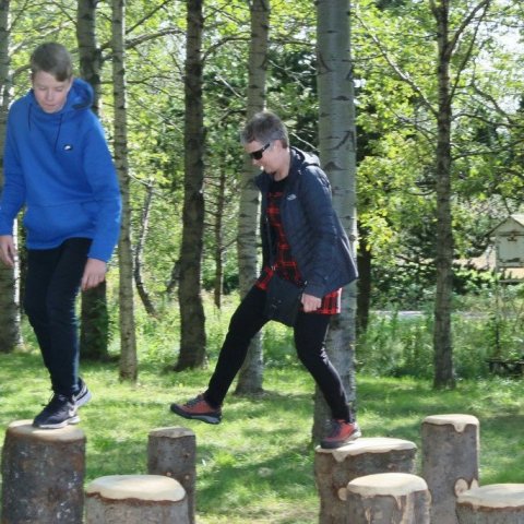 Hér er það ímyndunarafl hvers og eins sem ræður notkuninni. Tekið í skóginum á Mógilsá. Ljósmynd: Pétur Halldórsson