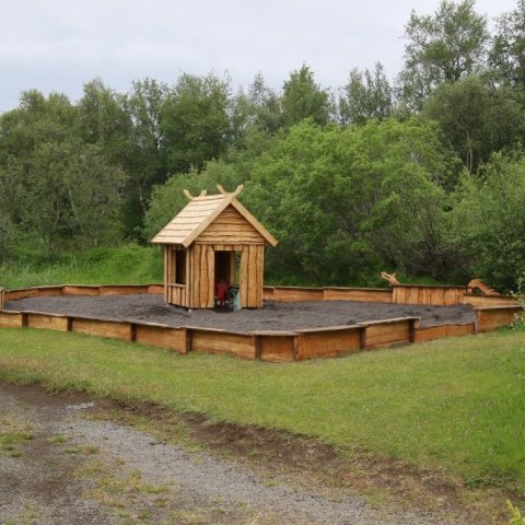 Prýði í skóginum. Ljósmynd: Pétur Halldórsson