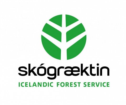 IFS Logo, vertical with englis inscription