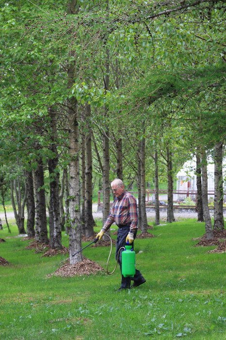 Eitrað á Mógilsá