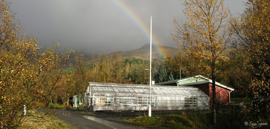 Regnbogi á Mógilsá