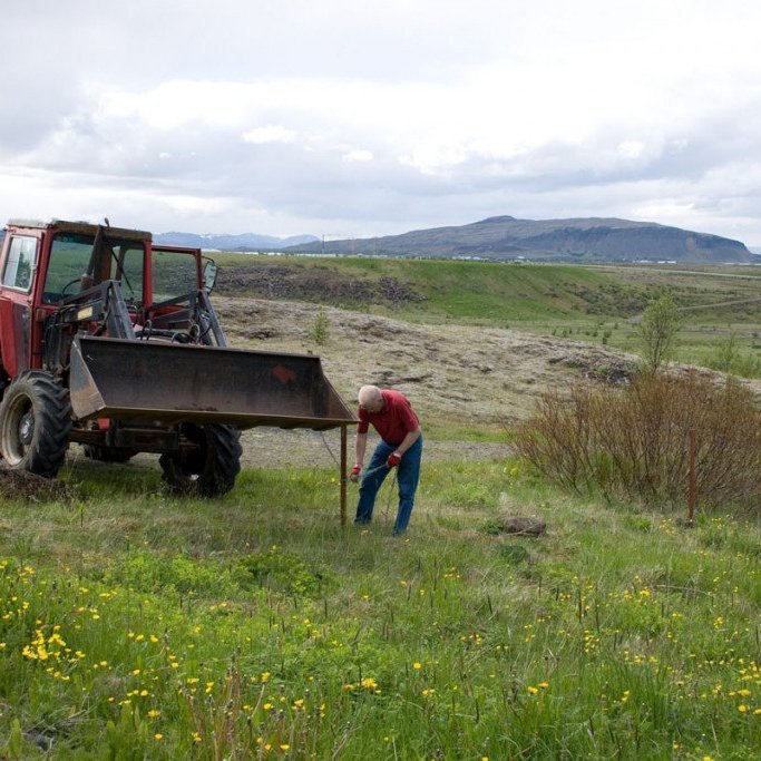 (mynd: Edda S. Oddsdóttir)