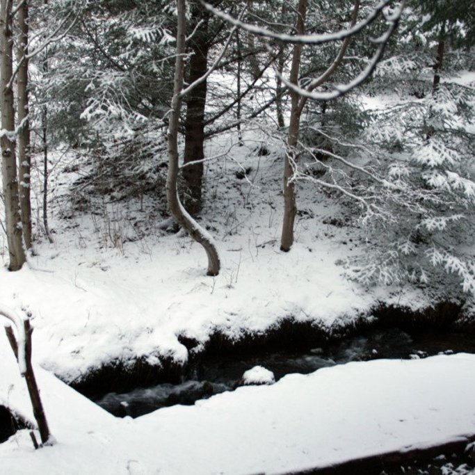 (mynd: Edda S. Oddsdóttir)