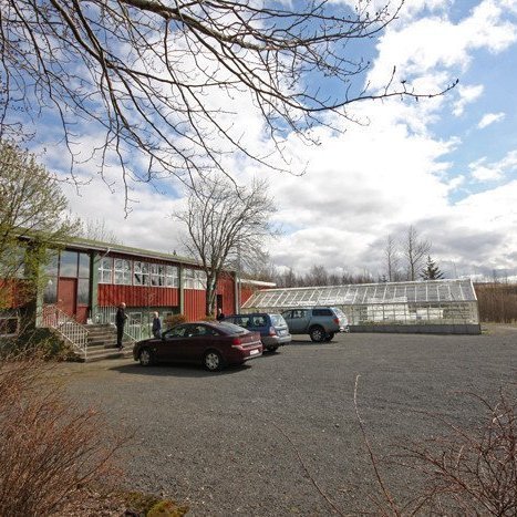 (mynd: Brynja Hrafnkelsdóttir)