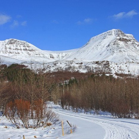 (mynd: Brynja Hrafnkelsdóttir)