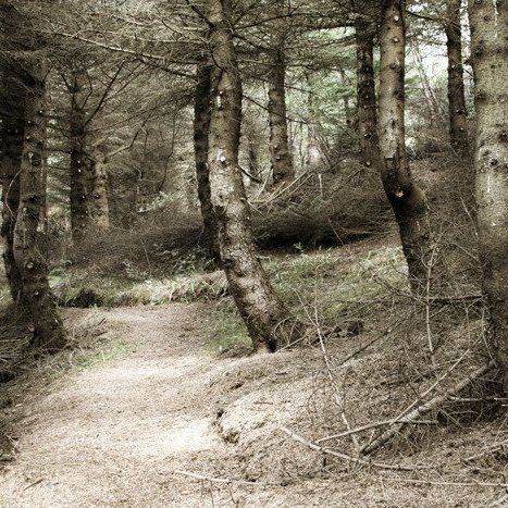 (mynd: Brynja Hrafnkelsdóttir)