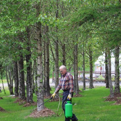 (mynd: Brynja Hrafnkelsdóttir)